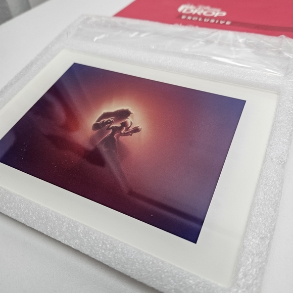 Beauty and the beast artwork acrylic frame - Picture 2 of 8